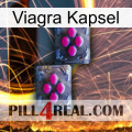Viagra Capsule 01